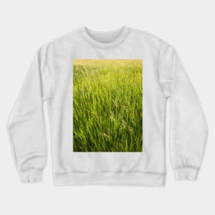 Blooming wild bromus Crewneck Sweatshirt